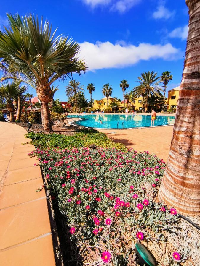 Appartamento Spagnolo Oasis Tamarindo Corralejo Bagian luar foto