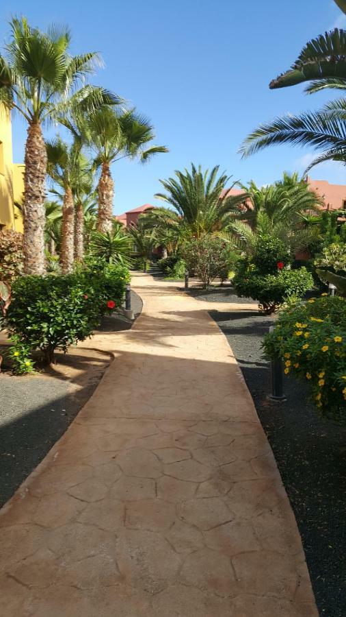 Appartamento Spagnolo Oasis Tamarindo Corralejo Bagian luar foto