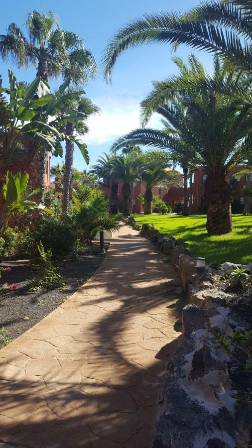 Appartamento Spagnolo Oasis Tamarindo Corralejo Bagian luar foto
