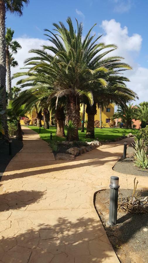 Appartamento Spagnolo Oasis Tamarindo Corralejo Bagian luar foto
