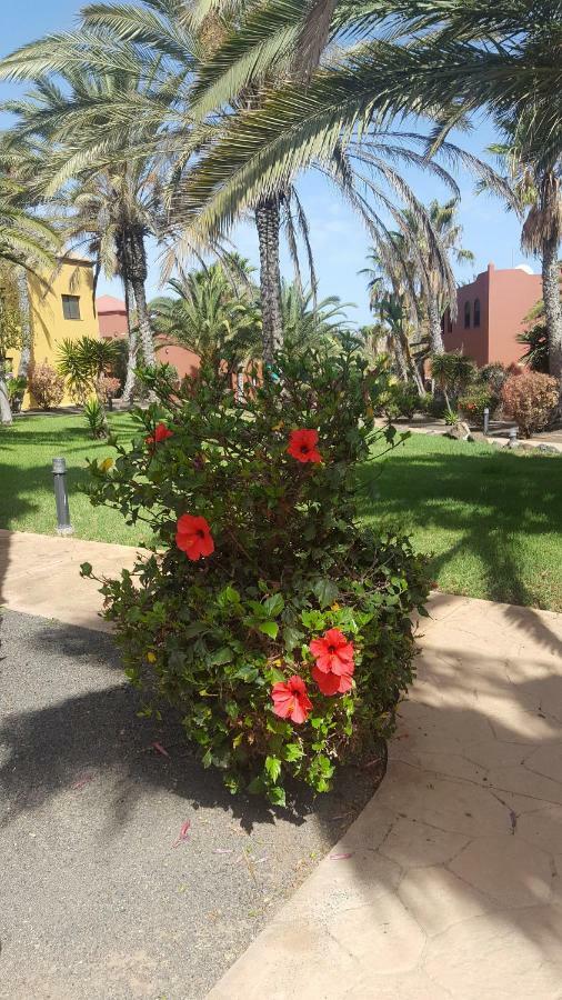 Appartamento Spagnolo Oasis Tamarindo Corralejo Bagian luar foto